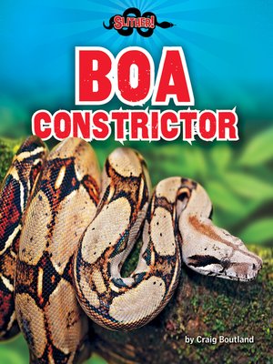 cover image of Boa Constrictor